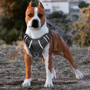 BABYLTRL Big Dog No Pull Reflective Adjustable Pet Vest with Handle