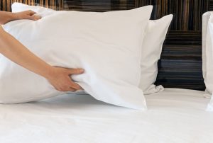 Digital Decor Hypoallergenic Bed Pillow for Sleeping